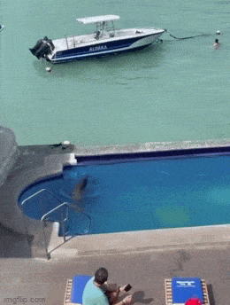 Просто гифки, всякие и&nbsp;разные