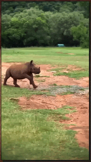 Просто гифки, всякие и&nbsp;разные