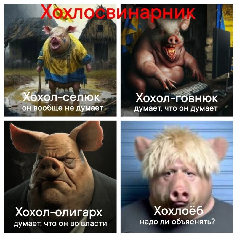 Лишь о политике , о ней
