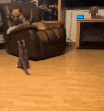 Просто гифки, всякие и&nbsp;разные