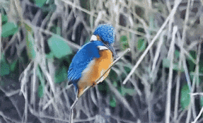 Просто гифки, всякие и&nbsp;разные