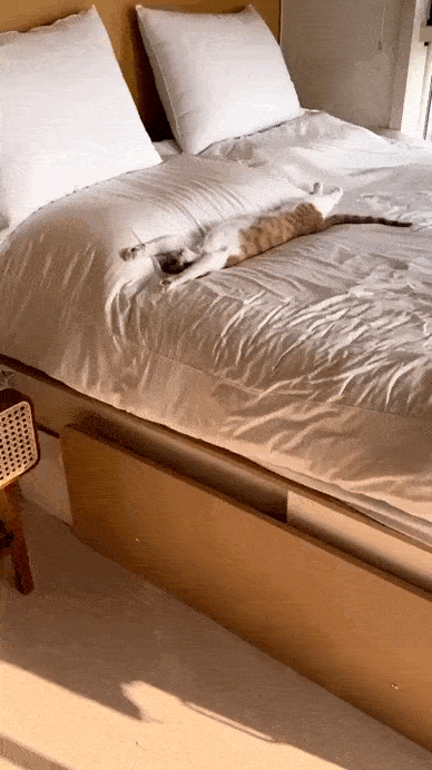 Просто гифки, всякие и&nbsp;разные