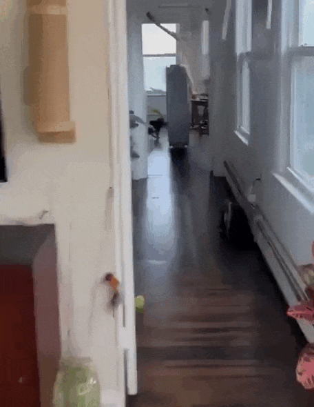 Просто гифки, всякие и&nbsp;разные