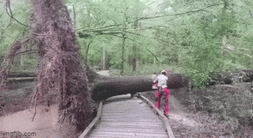 Просто гифки, всякие и&nbsp;разные