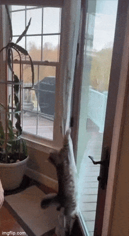 Просто гифки, всякие и&nbsp;разные