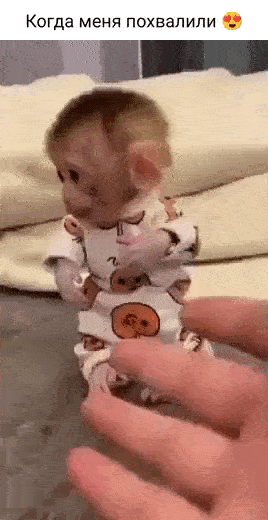 Просто гифки, всякие и&nbsp;разные