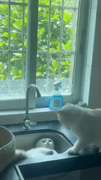 Просто гифки, всякие и&nbsp;разные