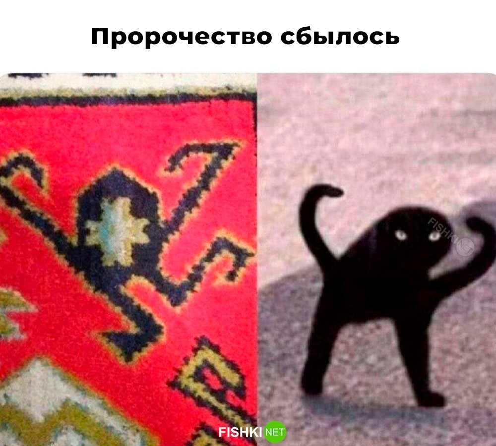 Продолжаем барражировать соцсети