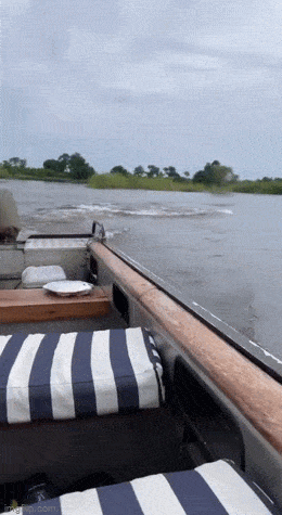 Просто гифки, всякие и&nbsp;разные