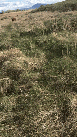 Просто гифки, всякие и&nbsp;разные