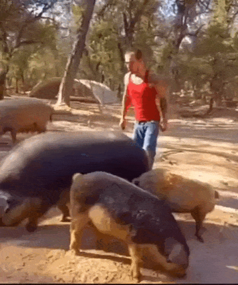 Просто гифки, всякие и&nbsp;разные