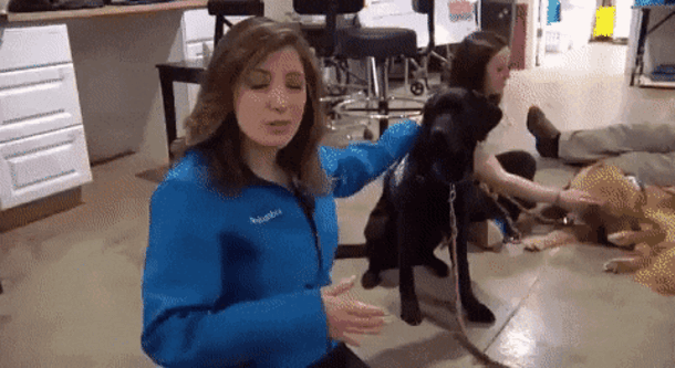 Просто гифки, всякие и&nbsp;разные