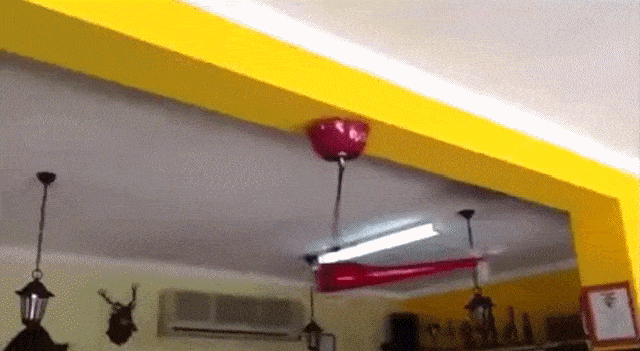 Просто гифки, всякие и&nbsp;разные