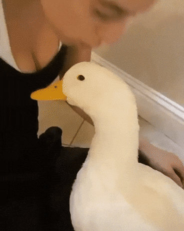 Просто гифки, всякие и&nbsp;разные