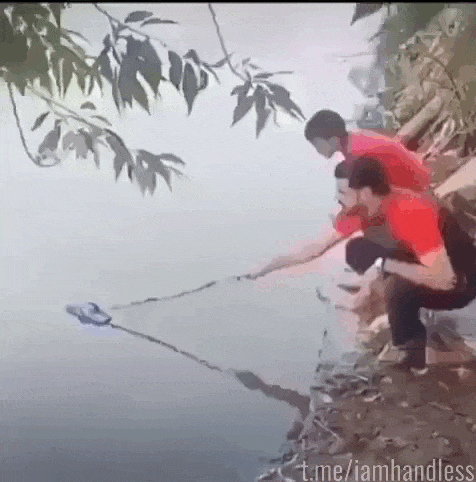 Просто гифки, всякие и&nbsp;разные