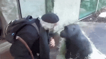 Просто гифки, всякие и&nbsp;разные