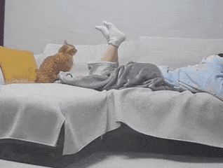 Просто гифки, всякие и&nbsp;разные