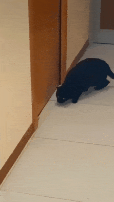 Просто гифки, всякие и&nbsp;разные