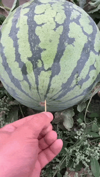 Просто гифки, всякие и&nbsp;разные