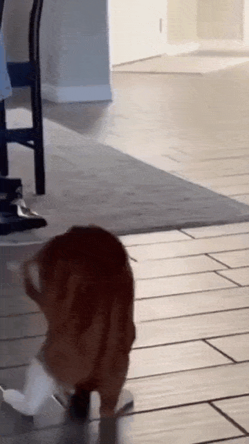 Просто гифки, всякие и&nbsp;разные