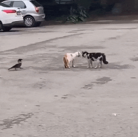 Просто гифки, всякие и&nbsp;разные