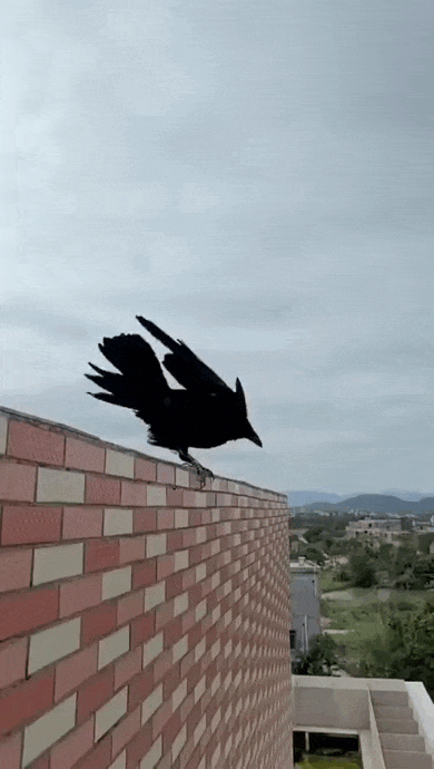 Просто гифки, всякие и&nbsp;разные