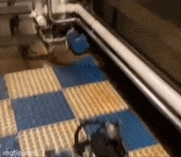 Просто гифки, всякие и&nbsp;разные