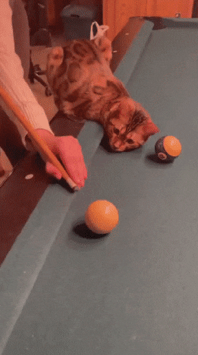 Просто гифки, всякие и&nbsp;разные