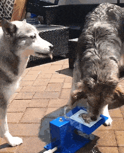 Просто гифки, всякие и&nbsp;разные