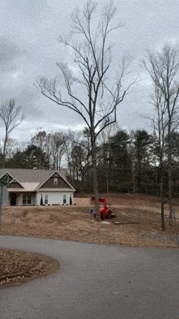 Просто гифки, всякие и&nbsp;разные