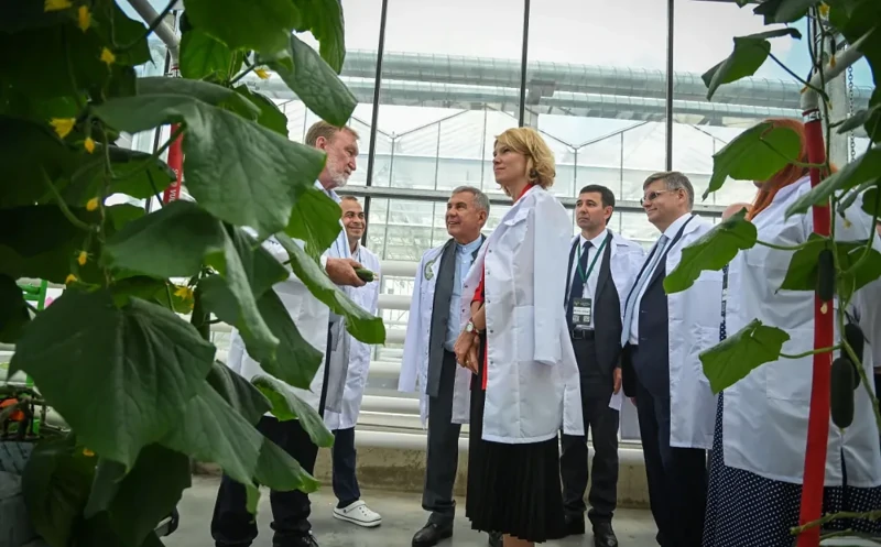 С государственной поддержкой "Мы можем вырастить все, что угодно" С государственной поддержкой "Мы можем вырастить все, что угодно"