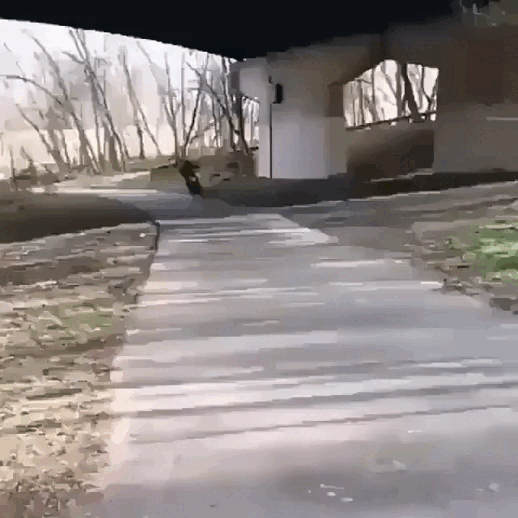 Просто гифки, всякие и&nbsp;разные