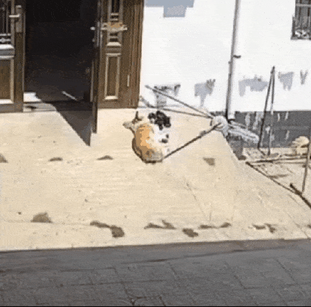 Просто гифки, всякие и&nbsp;разные