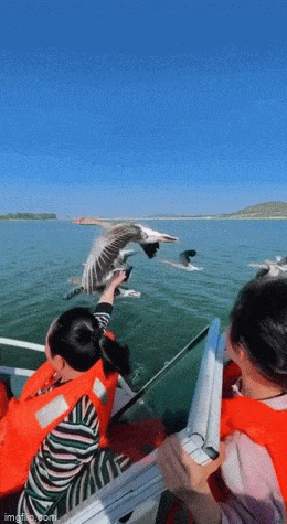 Просто гифки, всякие и&nbsp;разные