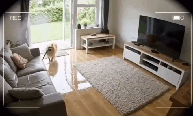 Просто гифки, всякие и&nbsp;разные