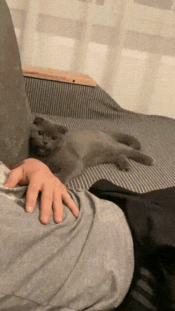 Просто гифки, всякие и&nbsp;разные