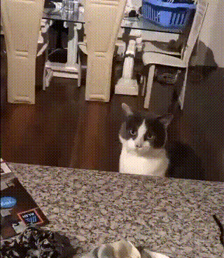 Просто гифки, всякие и&nbsp;разные