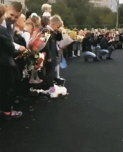 Просто гифки, всякие и&nbsp;разные