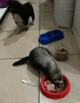 Просто гифки, всякие и&nbsp;разные