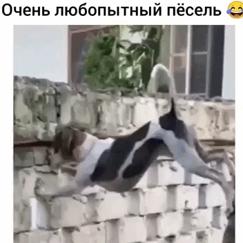 Просто гифки, всякие и&nbsp;разные