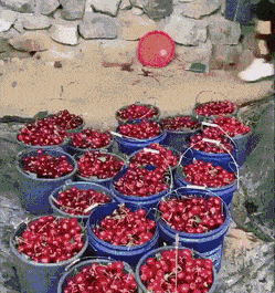 Просто гифки, всякие и&nbsp;разные