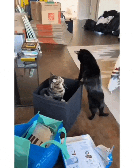 Просто гифки, всякие и&nbsp;разные