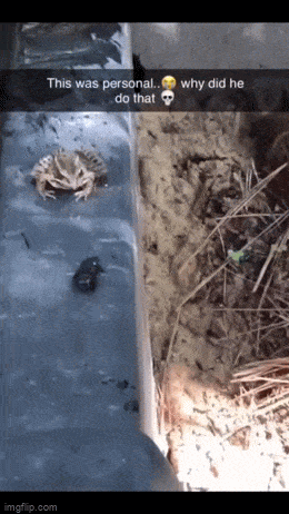 Просто гифки, всякие и&nbsp;разные