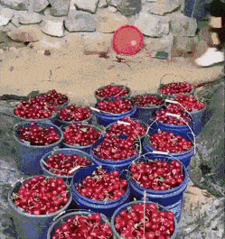 Просто гифки, всякие и&nbsp;разные