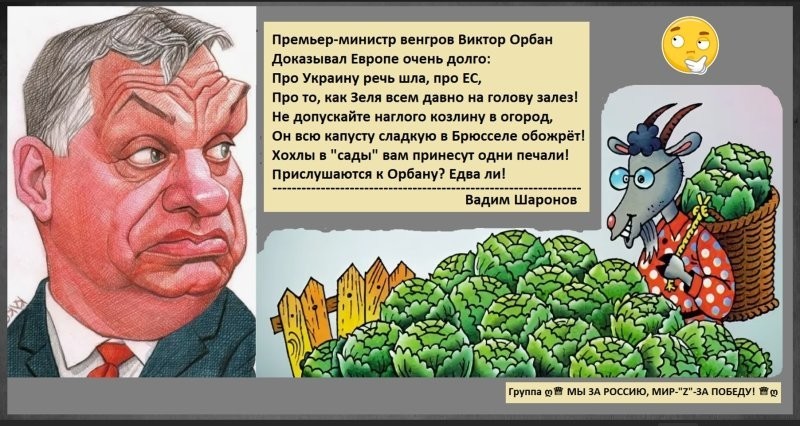Лишь о политике