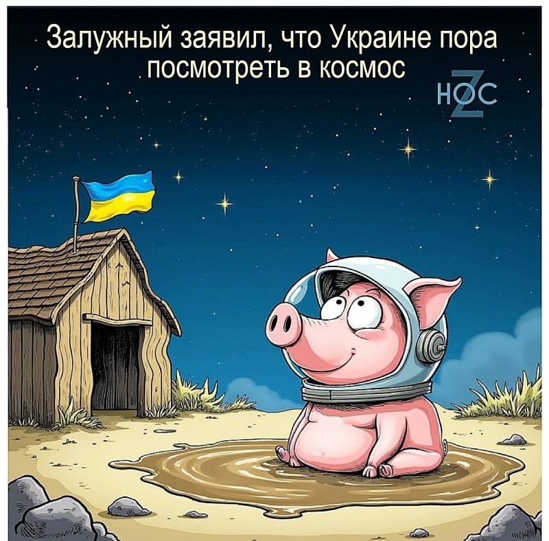 Лишь о политике