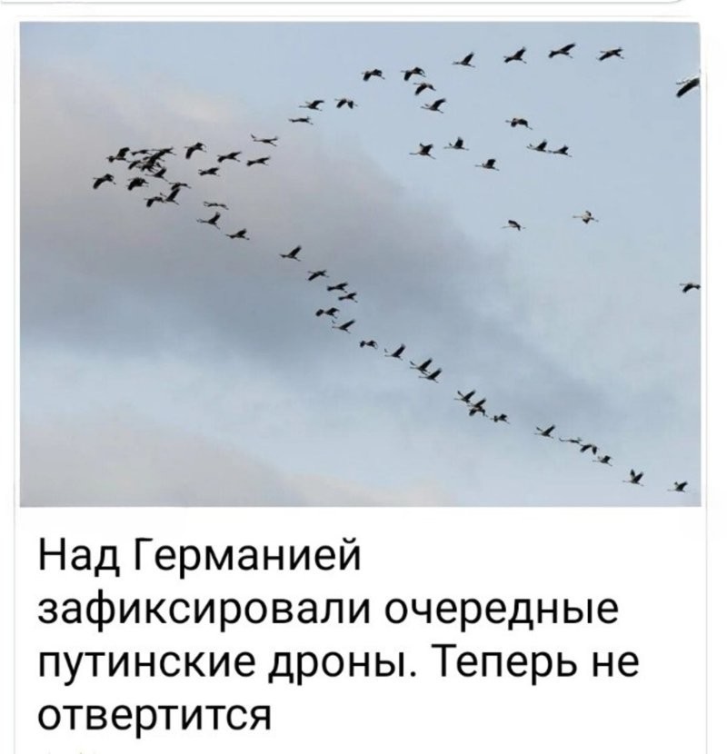 Лишь о политике