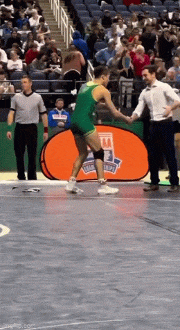 Просто гифки, всякие и&nbsp;разные