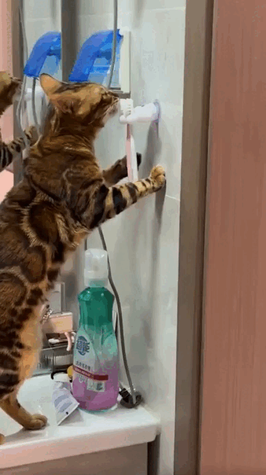 Просто гифки, всякие и&nbsp;разные