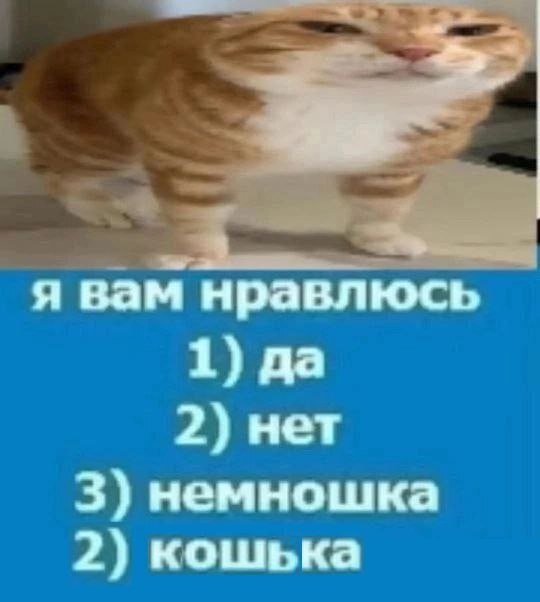 Скрины из соцсетей